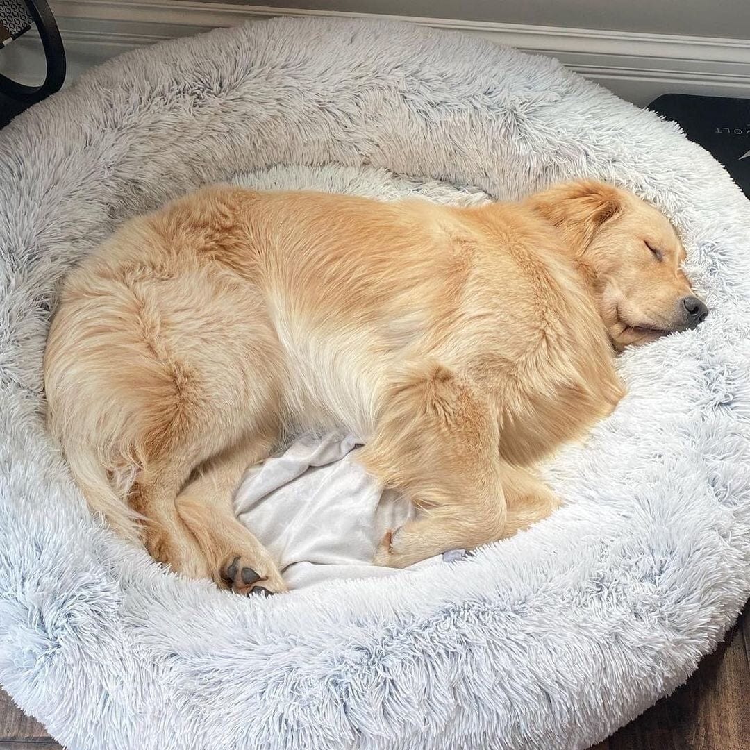 Hundeseng – Blødt Faux Pels i Neutrale Nuancer til Beroligende Soveplads for Små Hunde eller Katte