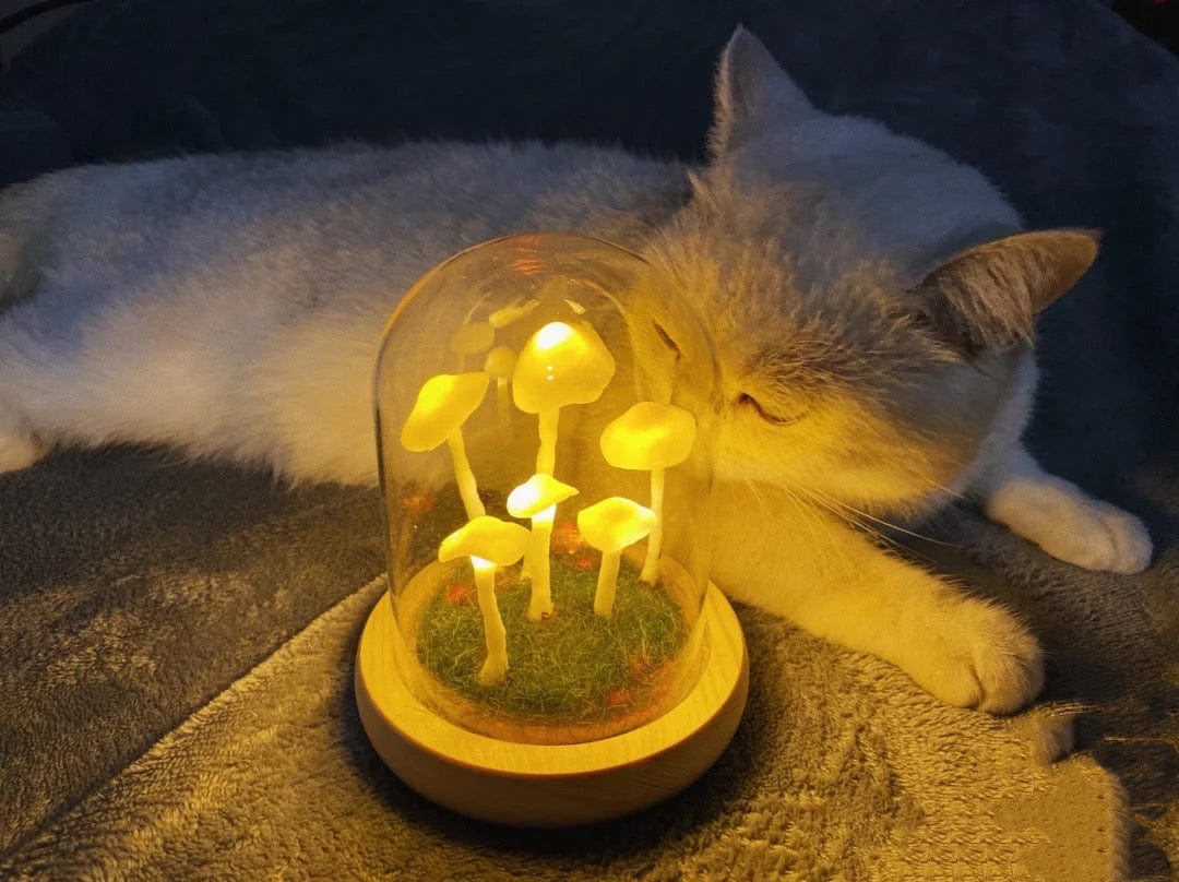 DIY-paddenstoelenlamp – glas en hout, creatieve tafeldecoratie voor de woonkamer of slaapkamer