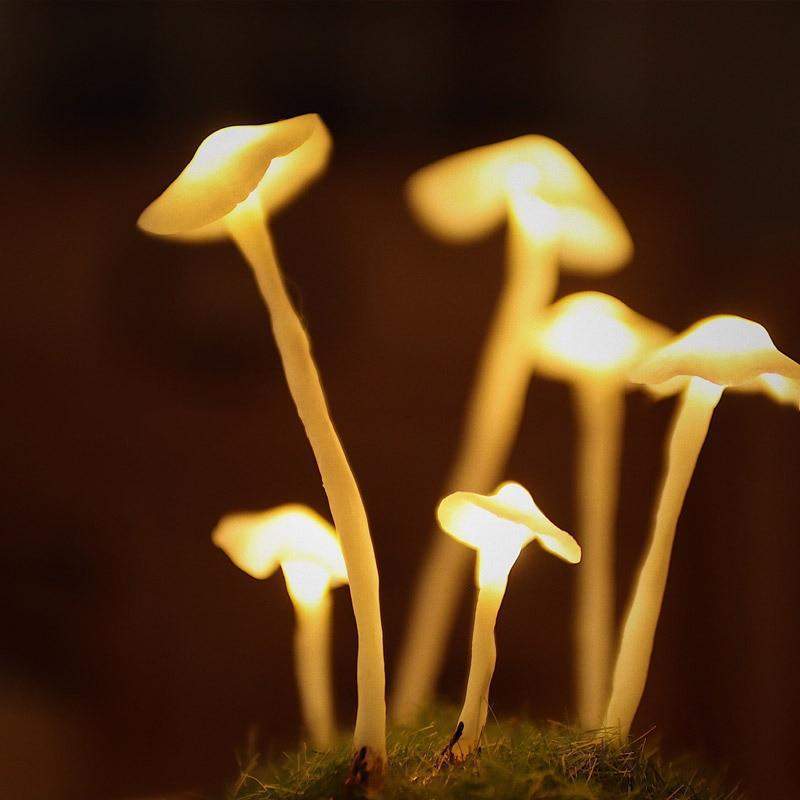DIY-paddenstoelenlamp – glas en hout, creatieve tafeldecoratie voor de woonkamer of slaapkamer