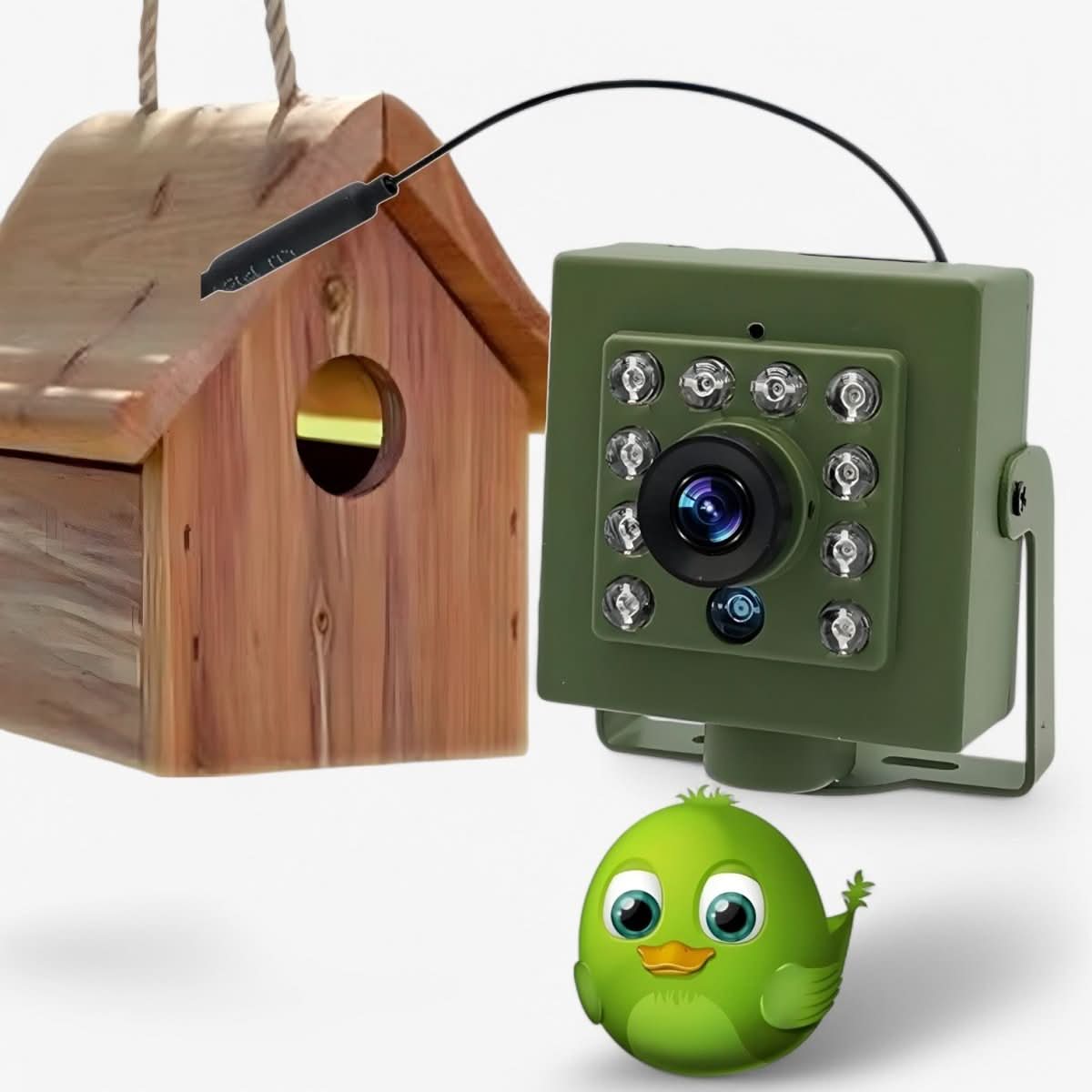 WLAN Fugle Kamera – Grøn, Vejrbestandig 1080p HD til Naturobservation og Redeovervågning indendørs eller udendørs